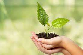 Printemps : le redémarrage, en douceur !