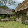 toiture en chaume