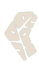 Logo WOOD BOCAGE PRODUCTION