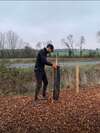 arbres en pleine croissance symbolisant l'engagement écologique et la réduction des émissions de CO2