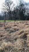 jardin potager avec clôture en bois bocager