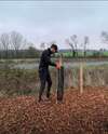 haies bocagères verdoyantes en entretien régulier