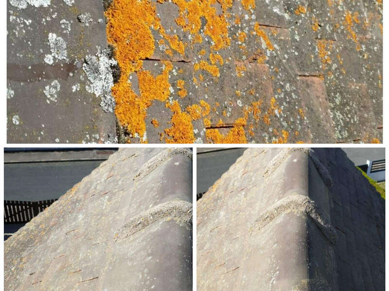 incollage_20210219_225604250