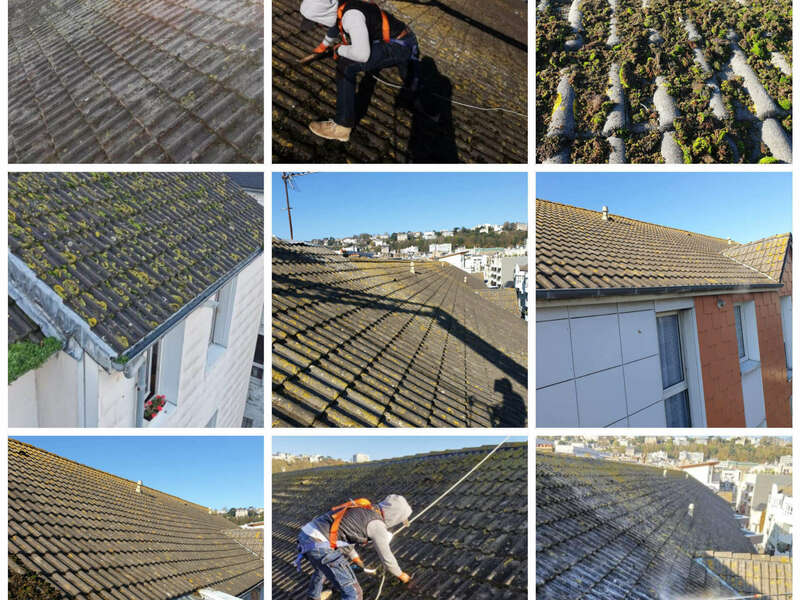 incollage_20210219_225114924