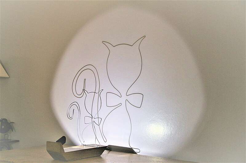 60-01-1_-_chat_au_noeud_pap20250213-3353774-1ly9v4l