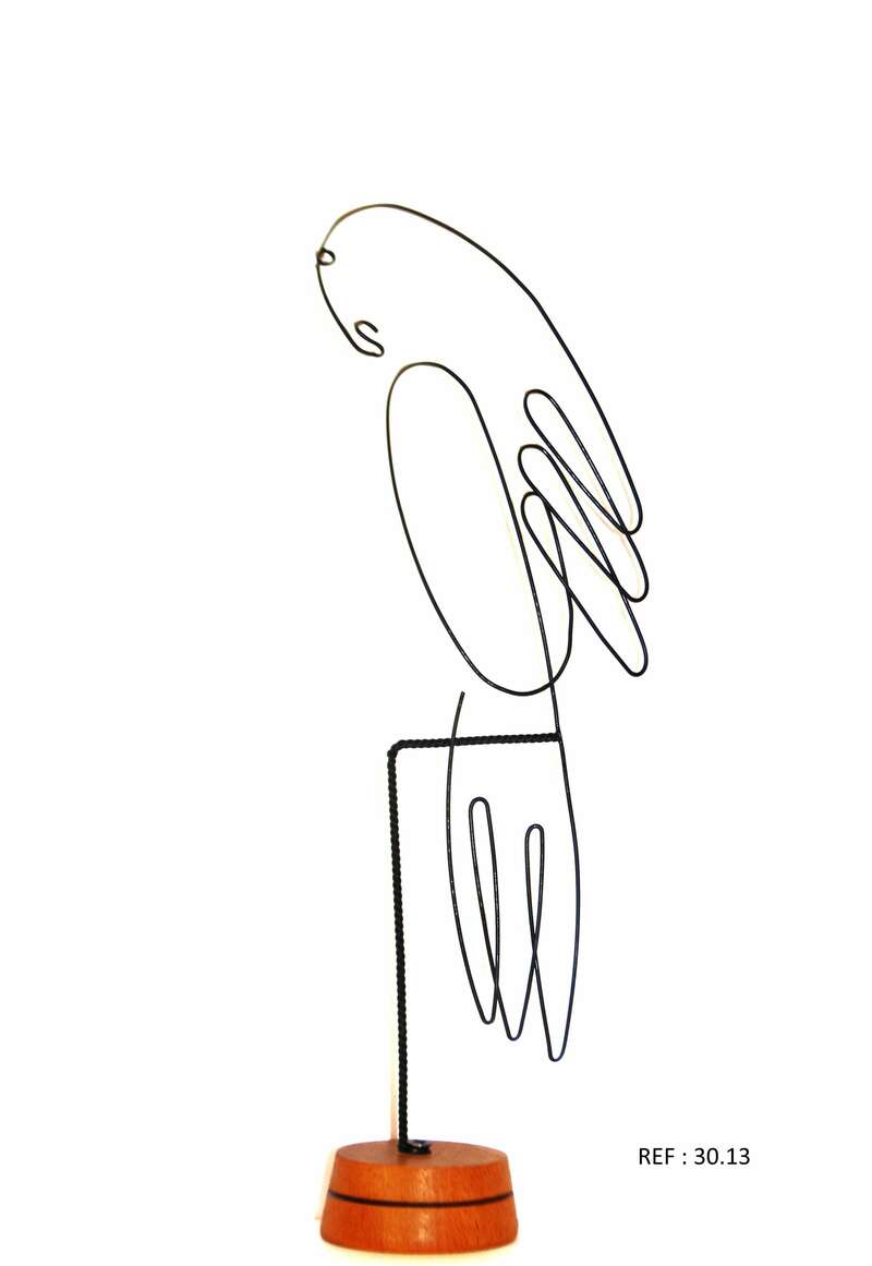 30-13_-_le_perroquet