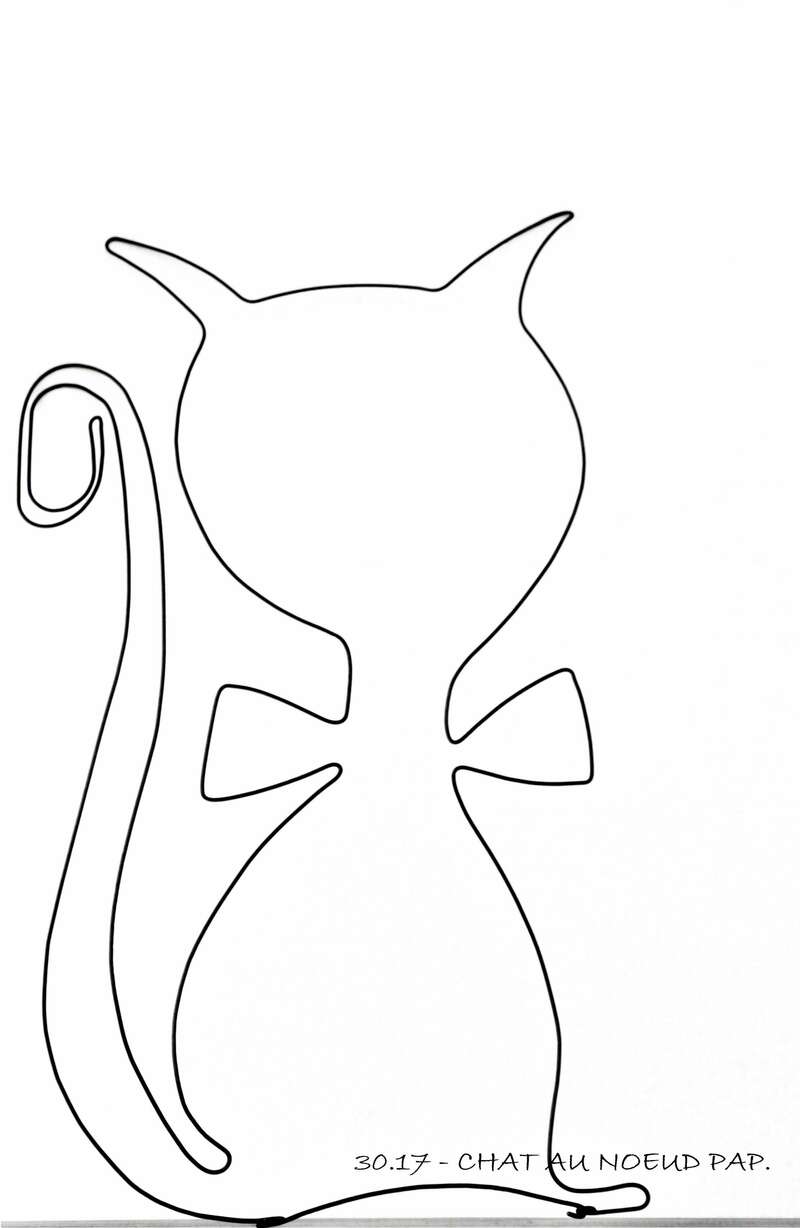 30-17_-_chat_au_noeud_pap