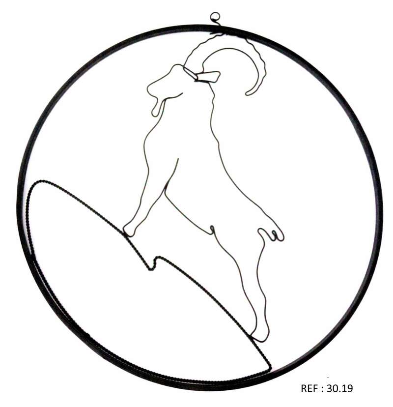 30-19_-_le_bouquetin