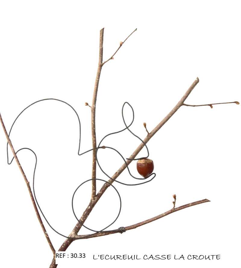30-33_-_l_ecureuil_casse_la_croute