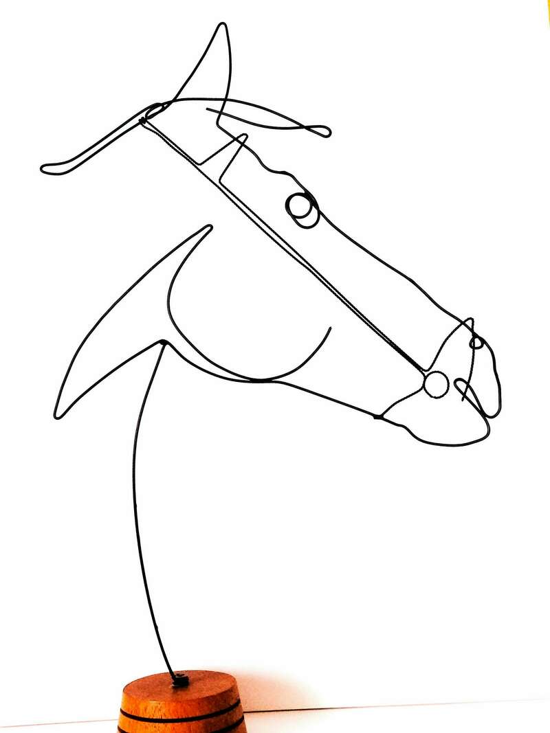 30-47_-_tete_cheval_harnache