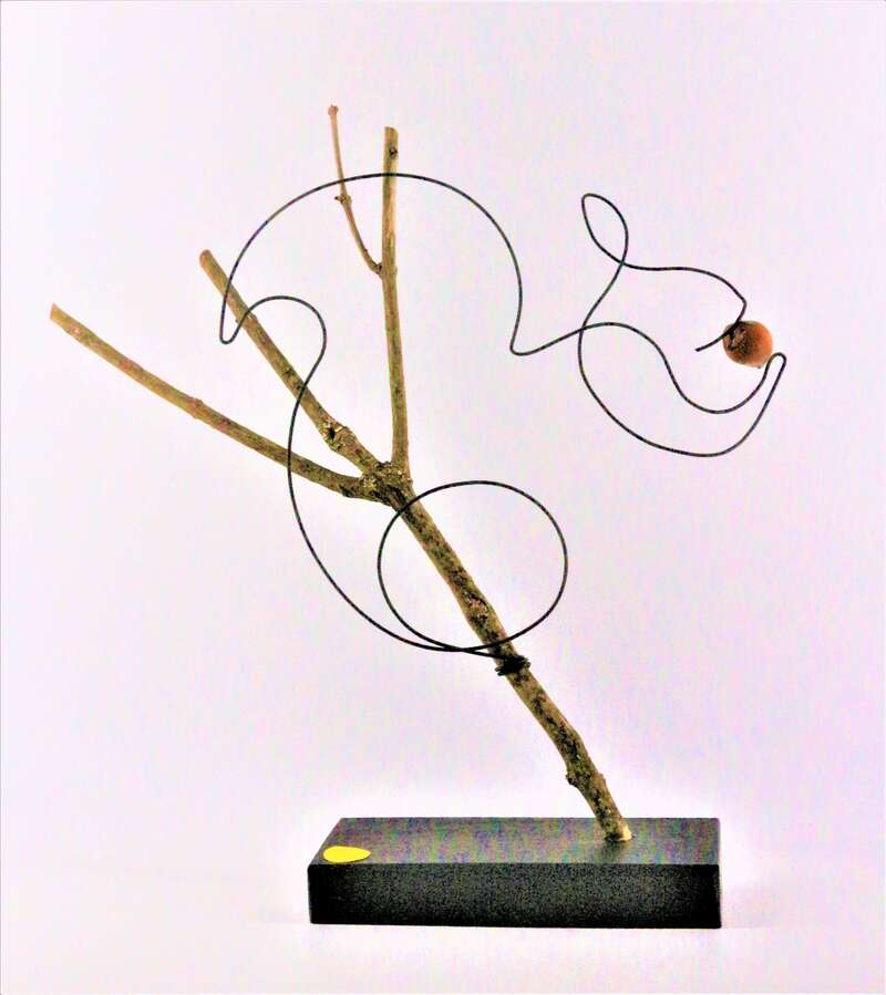 30-33-1_-_l_ecureuil_casse_la_croute20250213-3331110-n8wpyd