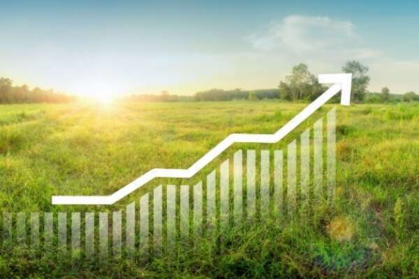 Taxe sur la cession à titre onéreux d’un terrain nu devenu constructible : du nouveau pour 2025 !