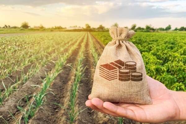 Un projet agricole doit aussi être solide financièrement