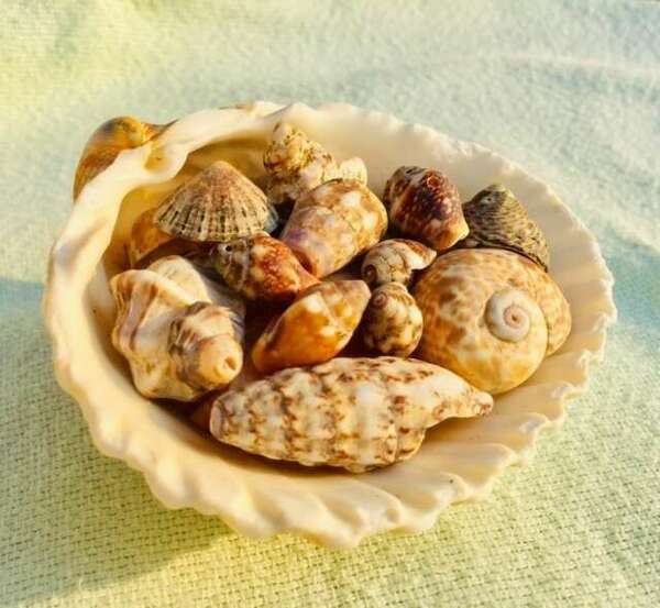 Comment ressentir la gratitude ?