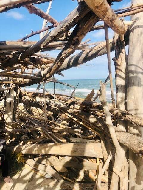 La bienveillance envers soi: antidote aux conflits?