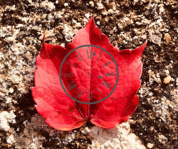 Horloge biologique, sommeil et sophrologie