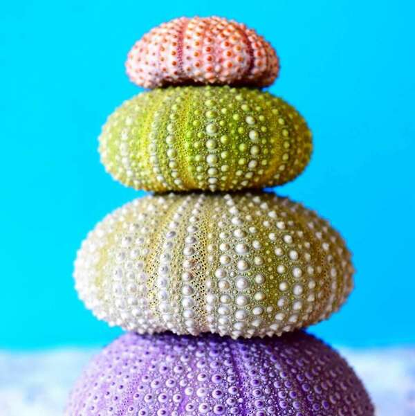 Lâcher-prise sur le perfectionnisme avec la Sophrologie