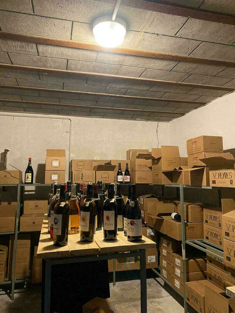 whatsapp_image_2023-10-06_at_09-24-09