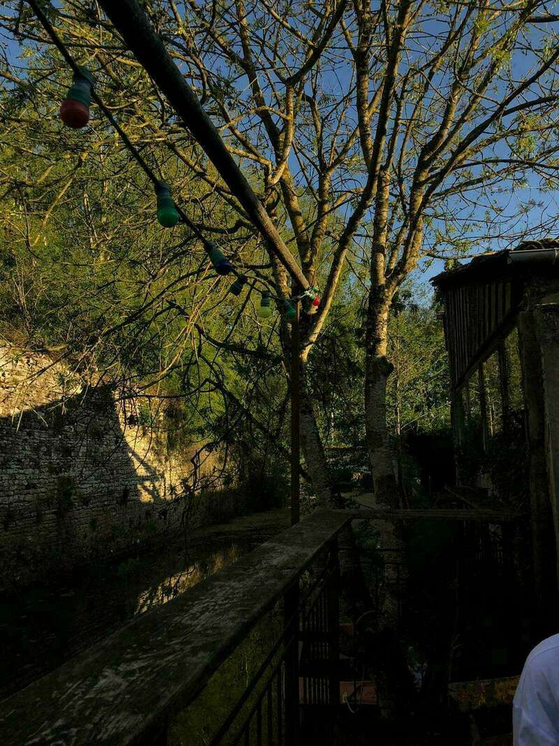 whatsapp_image_2023-10-06_at_09-23-57__1_