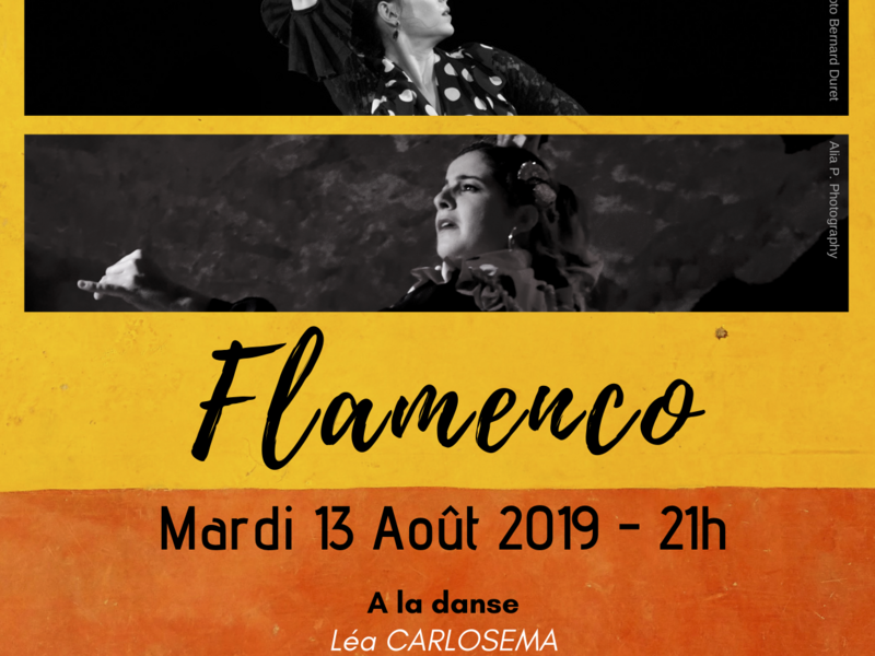 flamenco_teinturerie