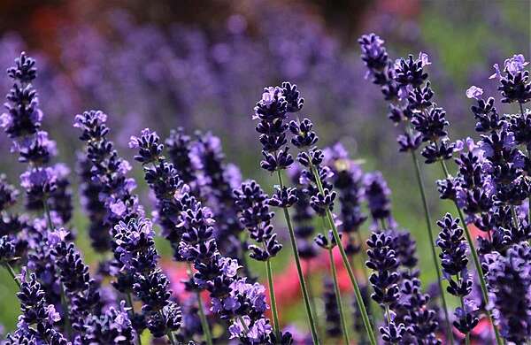 Delphine, entrepreneure individuelle