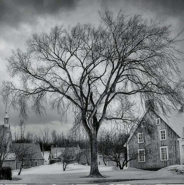 Les sources du conflit