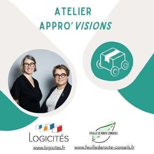 Logicités Feuille de route Conseils Karine Weber Céline Guilloit