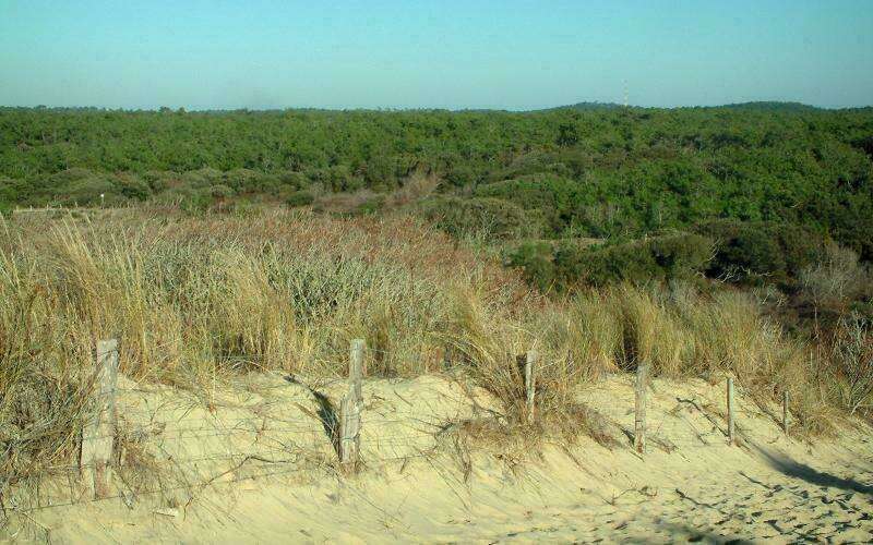 charente-maritime-6576-w800-ch-1