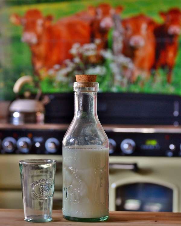 Lait végétal, boisson végétale, faisons le point