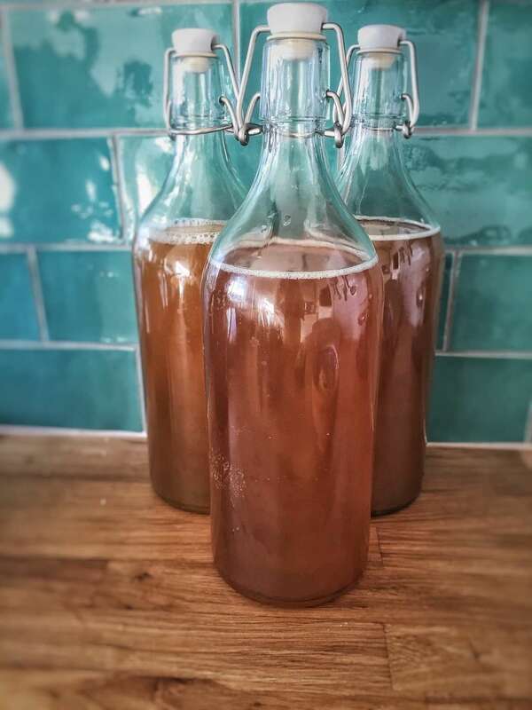 Zoom sur le Kombucha