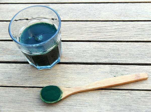 Zoom sur la Spiruline
