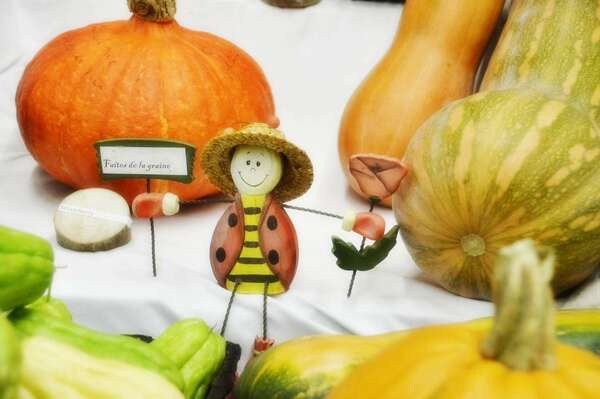 Tartinade de potimarron et ses crackers