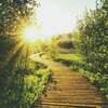 Sentier au soleil