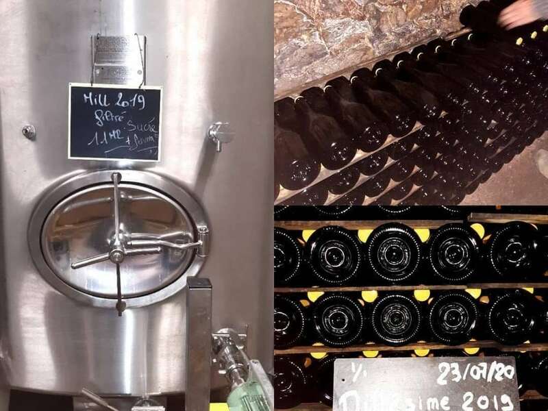 109919290_2741663252737686_7584271259128404201_n20221003-763717-6oa4u3