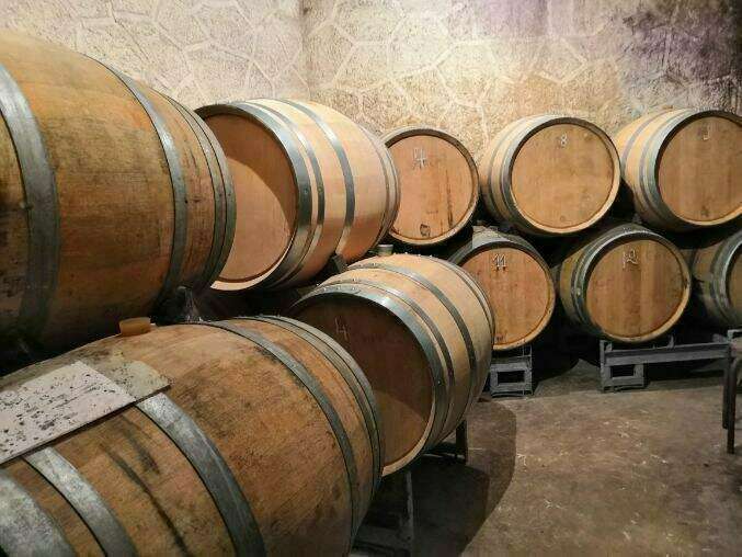 chais20221003-619547-o1rc5q