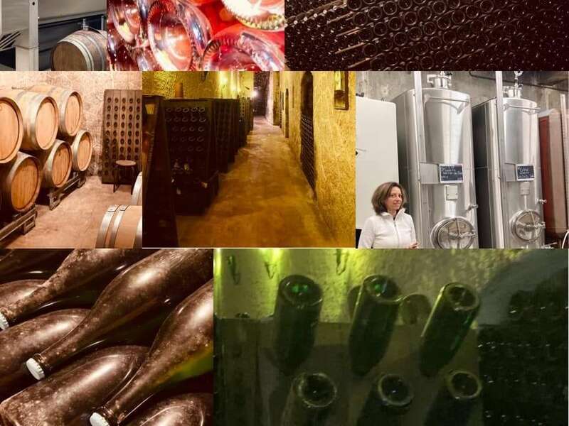 130804973_2868689573368386_4272997143619251456_n20221003-763717-c0rwjv