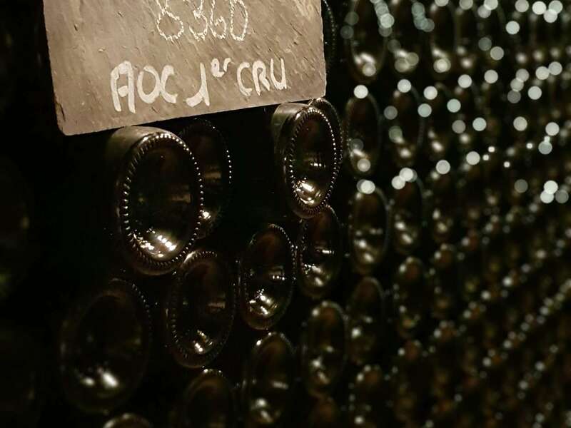 20200723_16172620221003-763717-14y9k5i