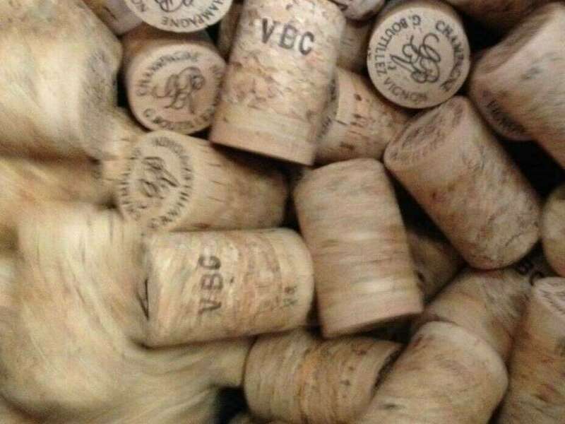 17796286_1907587316145288_2471932765354787931_n20221003-763592-1sci69v