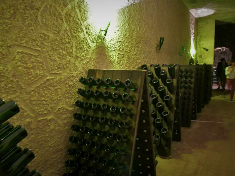 dsc_311420221003-763592-m4f3xf