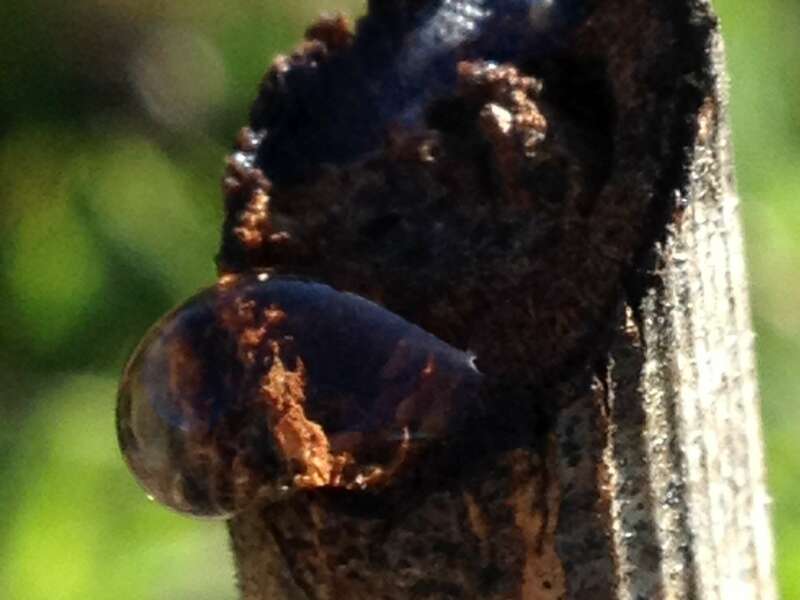 img_291020221003-763592-hn9y01