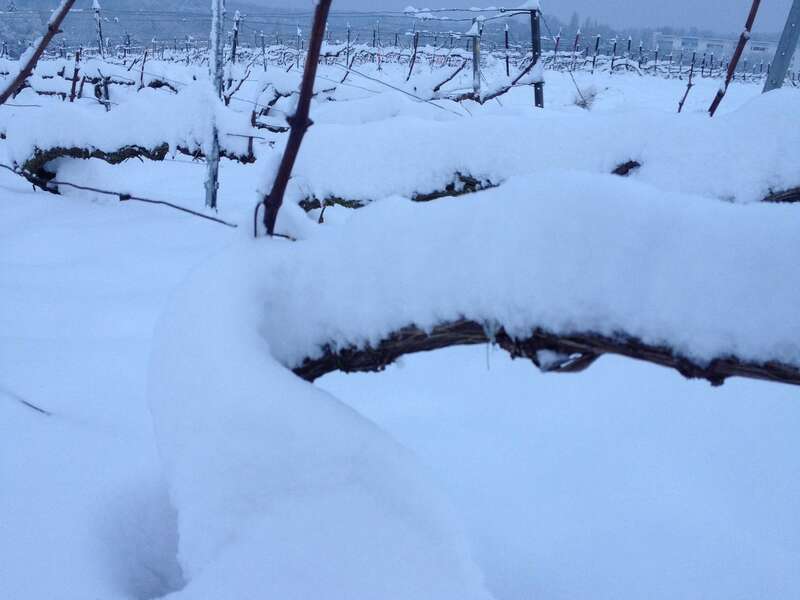 img_341620221003-763717-8pzf6g