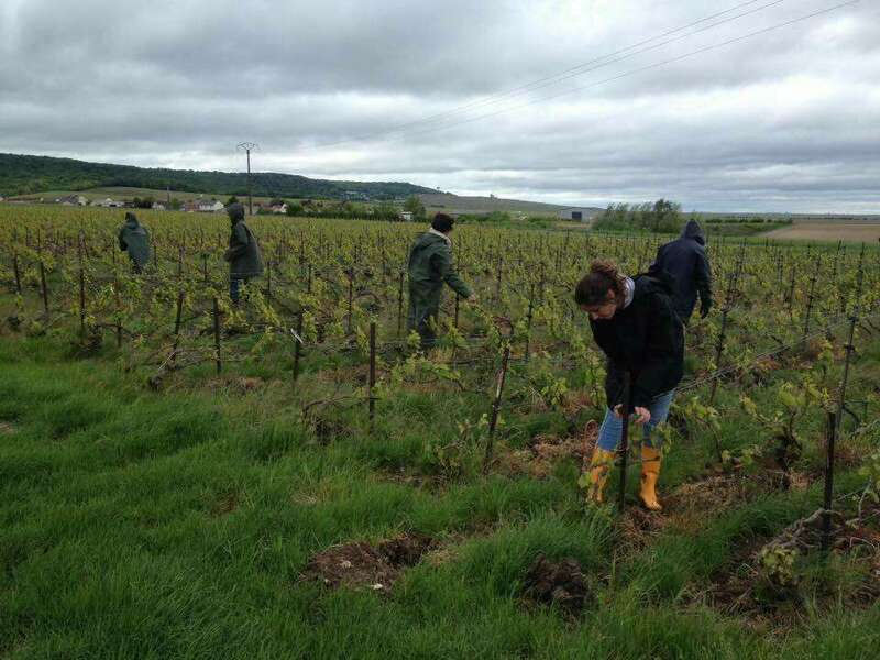 32802575_1979165945732922_2924129368521310208_n20221003-614406-1ppgx3h