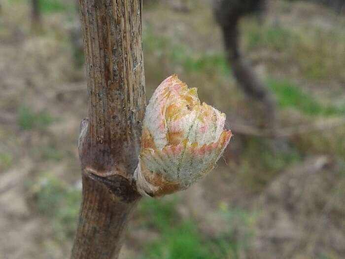 160421_120221003-614406-1yhdhbp