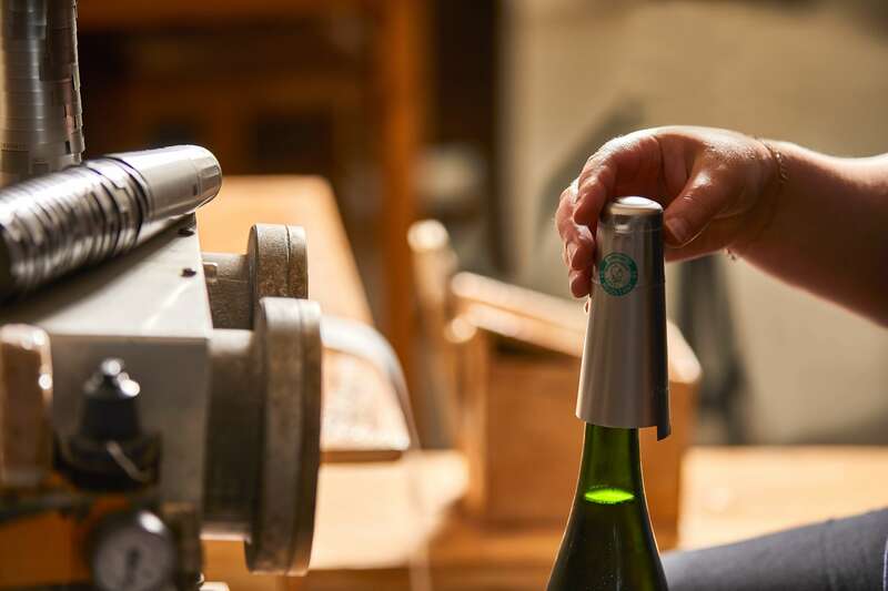 champagne_boutillez_vignon_22