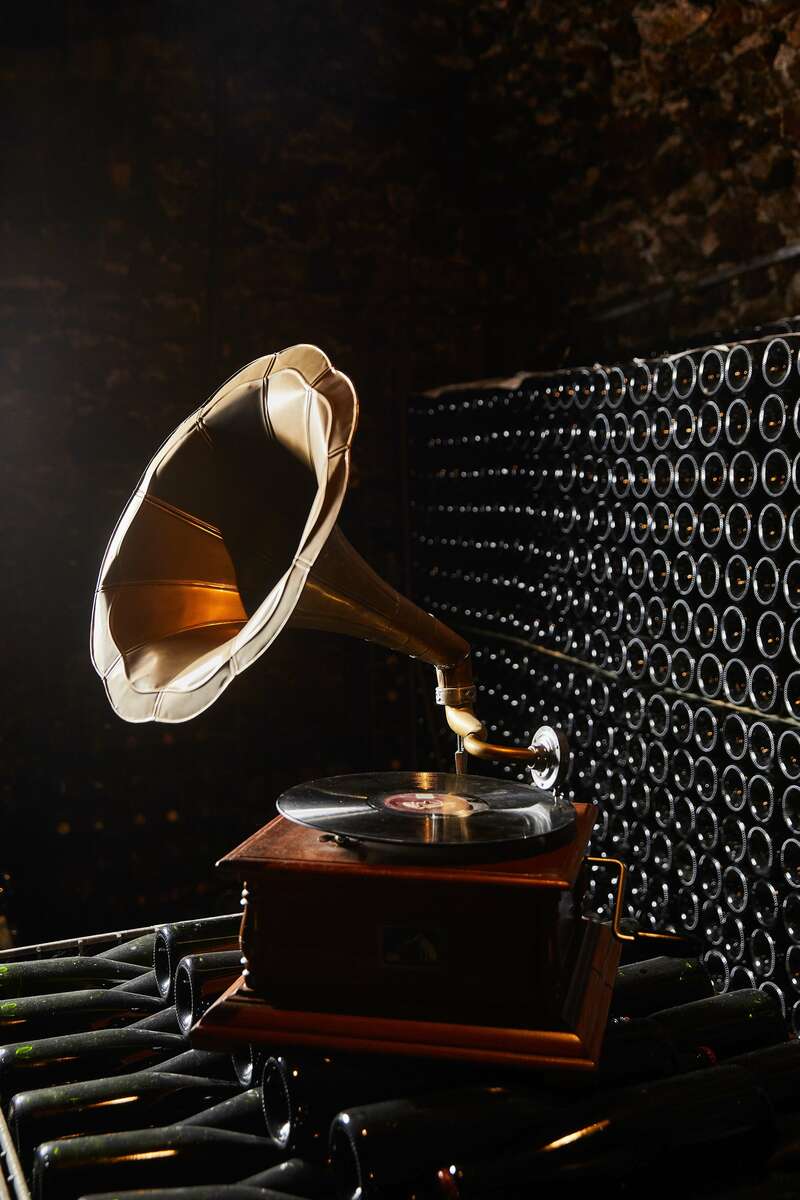 champagne_boutillez_vignon_60