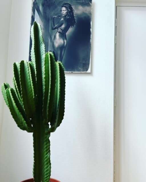 5f6444f0-3c32-4cf5-8f6b-c1c7f1fc40a1