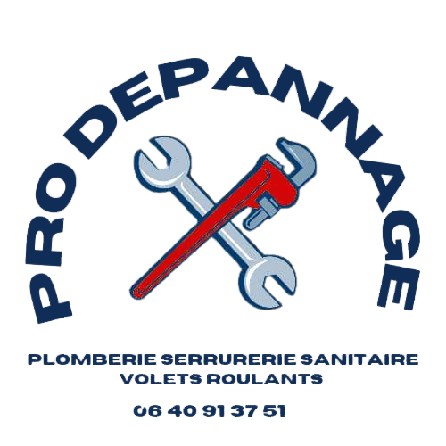 Logo PRO DEPANNAGE
