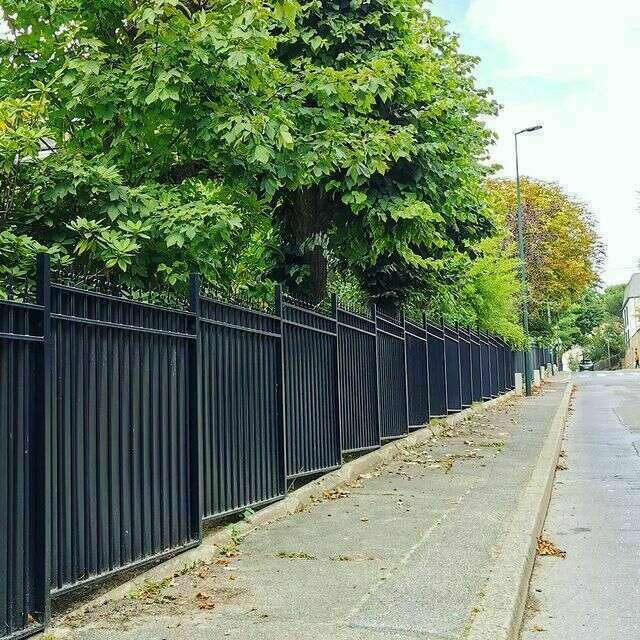 241492275_1508859726126604_5782996029628011875_n20220428-2258342-5g32d5