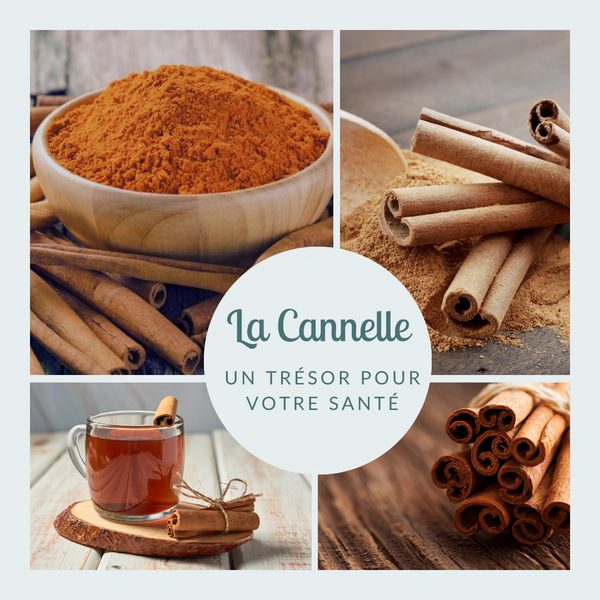 La cannelle, un trésor pour la santé !