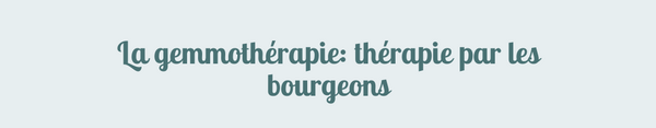 La gemmothérapie : thérapie par les bourgeons